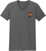 Princeton Tiger Lilies Softstyle V-Neck T-Shirt