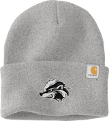 Allegheny Badgers Carhartt Watch Cap 2.0