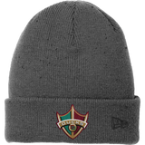 Delaware Ducks New Era Speckled Beanie