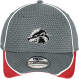 Allegheny Badgers New Era Hex Mesh Cap